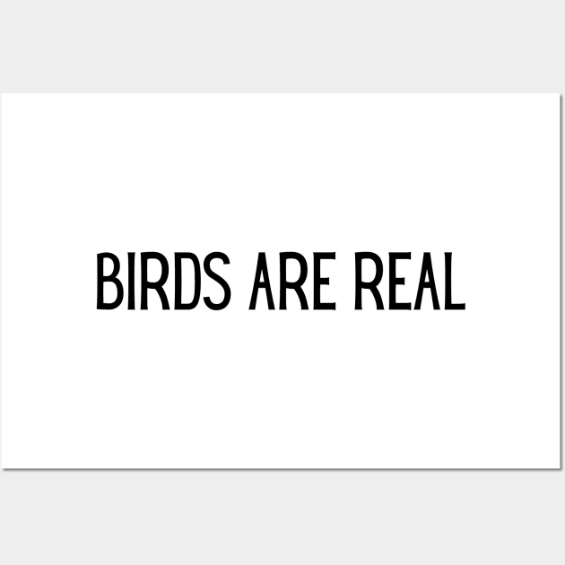 Birds are real Wall Art by orioleoutdoor